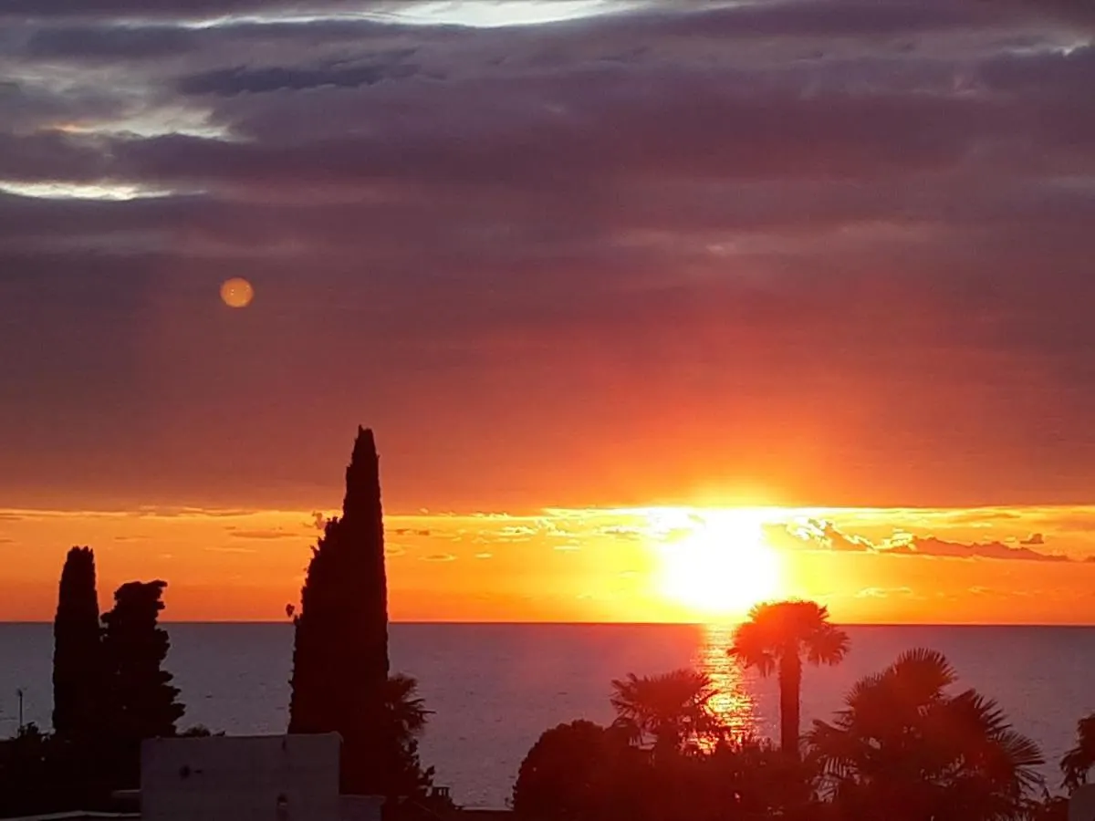 Apartment Apartmani Martincic Novigrad