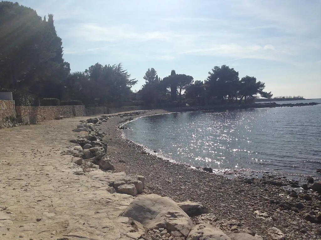 Apartmani Martincic Novigrad  Croatia