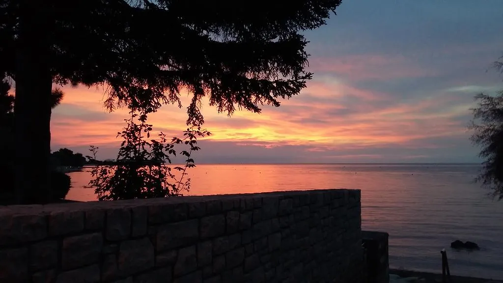 Apartment Apartmani Martincic Novigrad